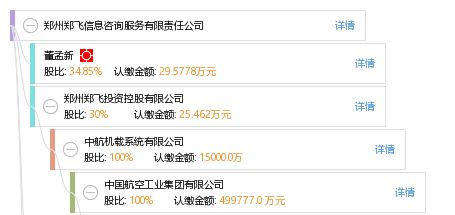 鄭州鄭飛信息咨詢服務有限責任公司 專業信息咨詢服務的引領者